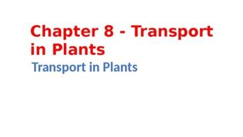 Igcse Cambridge Biology Chapter Transport In Plants Tpt