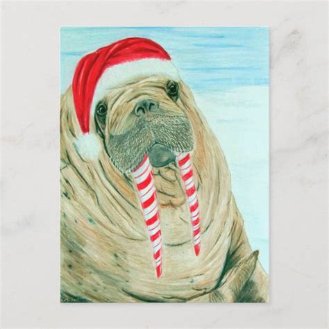 Christmas Walrus Holiday Postcard Zazzle