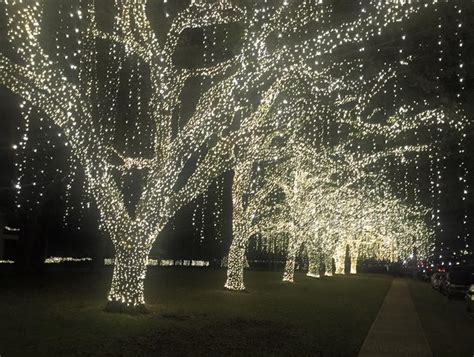 Christmas Lights – River Oaks – SEGWAY TOURS OF HOUSTON – SINCE 2007