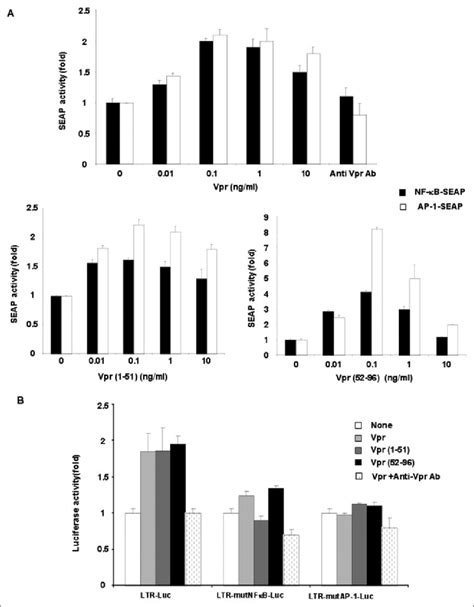 Synthetic Hiv Vpr Activates Ap And Nf B Driven Reporter Gene