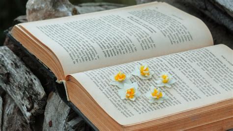 start writing  poetry book poetry poets