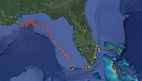 Shark Trackers And How Shark Tracking Works