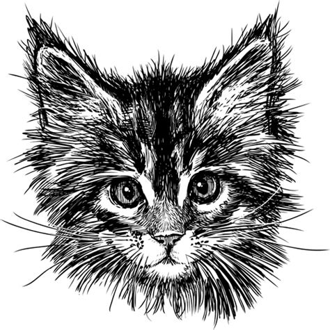 Hand Drawn Cats Head Vector Set Free Vector In Adobe Illustrator Ai