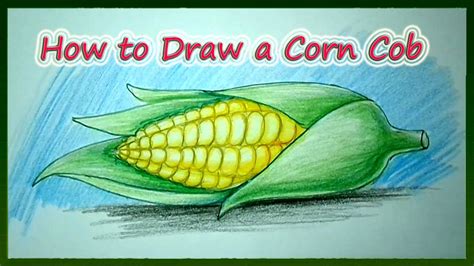 How To Draw A Corn Cob Step By Step Corn On Cob Drawings Corn