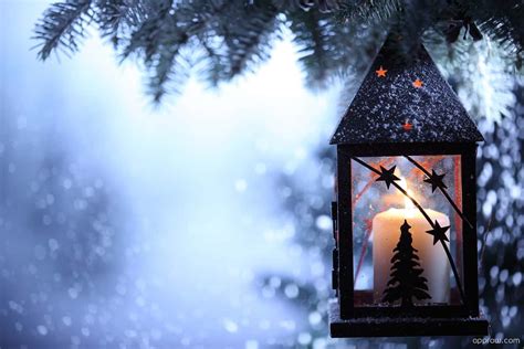 Camminata Nel Bosco Con Lanterne Ad Imbolc Annemeton