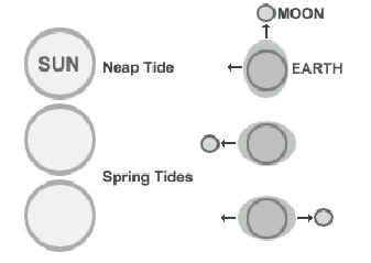 17 Waves And Tides Worksheet / worksheeto.com