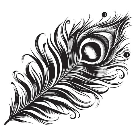 Peacock Feather Black And White Peacock Feather Feather Tattoo Design