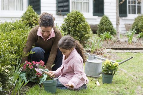 Basics Of How To Start A Garden From Scratch