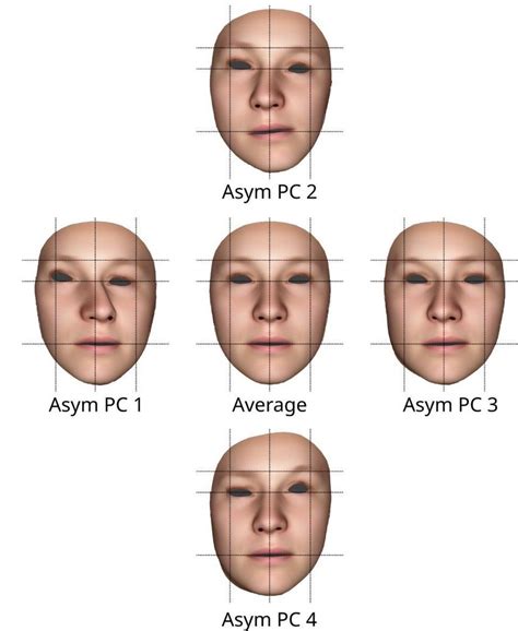 Asymmetrical Face Model