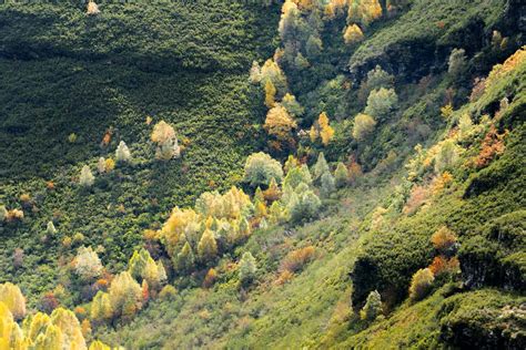 9 ideas para disfrutar del Otoño en Galicia Perder el Rumbo