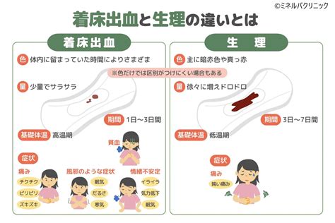 着床出血はいつ起こる？時期や生理との違いを解説 東京・ミネルバクリニック