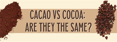 Cacao vs Cocoa: Are they the same? - Thunderbird Real Food Bar