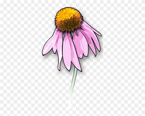 Dead Flower Clip Art At Clker Draw A Dead Flower Free Transparent