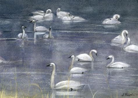 Winter Swans Painting by Lori Presthus - Fine Art America