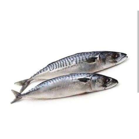 jual ikan salam  gr sayur segar palembang shopee indonesia