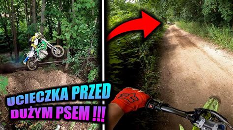 Wilczur Bieg Prosto Na Mnie I Enduro Youtube