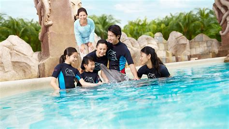 Dolphin Island Singapore | Opening Hours & Best Time to Visit