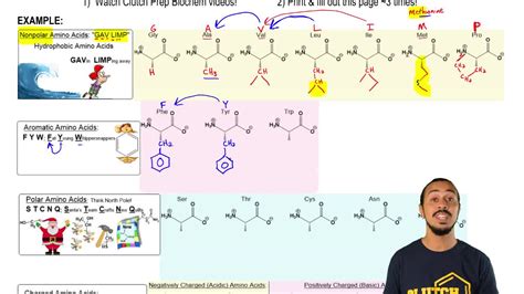 How To Remember The Hydrophobic Amino Acids Gaswcams