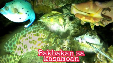 EPISODE 27 NIGHT SPEARFISHING Naglabasan Ang Mga Danggit YouTube