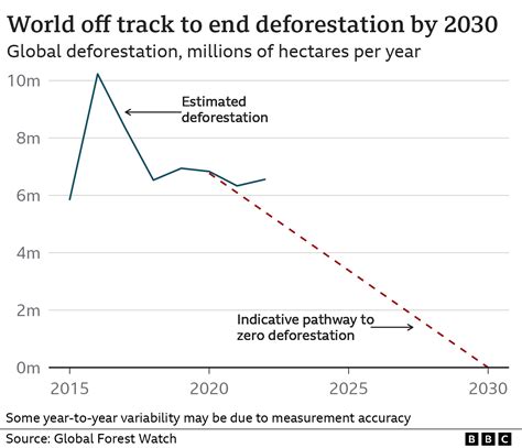 Climate Change Deforestation Surges Despite Pledges Bbc News