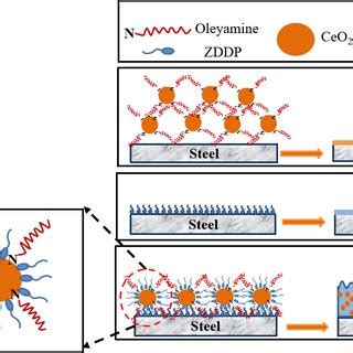 Schematic Diagram Of The Adsorption Behavior Of Additives On The Wafer