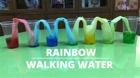 Rainbow Walking Water Walking Water Experiment Capillary Action