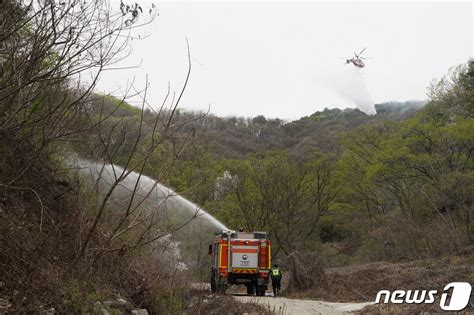 산불3단계 한꺼번에 5곳 첫 기록영주·홍성·순천·함평·금산대전서 사투 네이트 뉴스