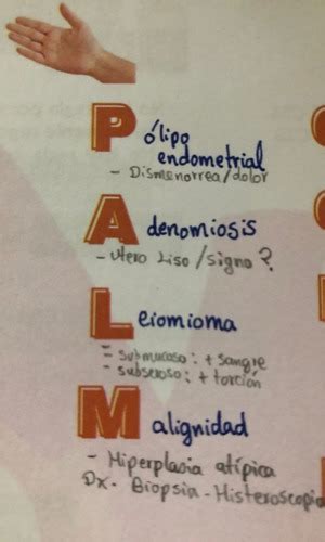 Sangrado Uterino Anormal Hemorragia Uterina Anormal Flashcards Quizlet