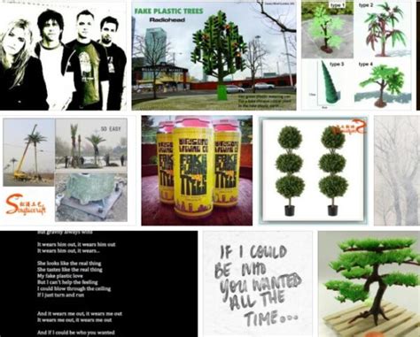 Fake Plastic Trees Lyrics 2021 Tree Types