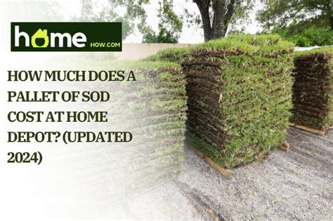 How Much Does A Pallet Of Sod Cost At Home Depot Updated