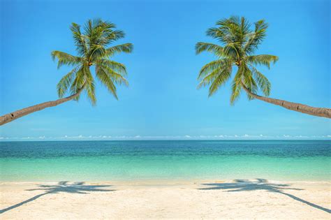 Photo Sea Nature Palms Tropics Coast Horizon 2560x1706