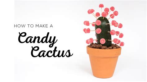 How To Make A Candy Cactus Youtube