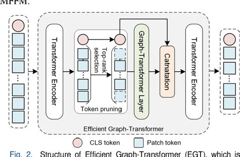 Multi Scale Efficient Graph Transformer For Whole Slide Image