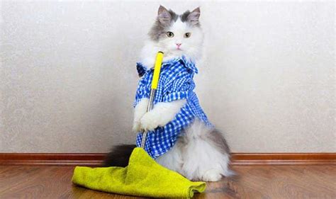 Тряпка для мытья полов: микрофибра, половая ветошь для мытья ...