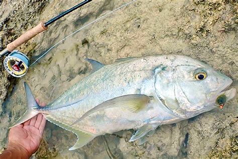 FlyFishing Guide in Miyako Island, Okinawa