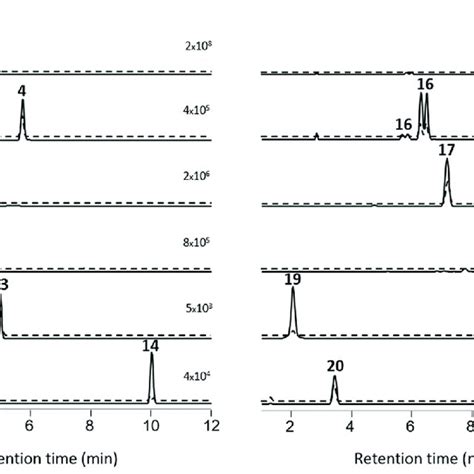 Extracted Ion Lc Hrms Chromatograms ± 5 Ppm Of Mc Congeners Obtained Download Scientific