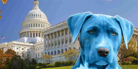 Whatever Happened to the “Blue Dog” Democrats? | Canada Free Press