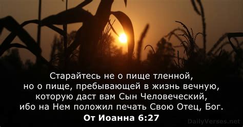 1 мая 2024 г Библейский стих дня От Иоанна 6 27 DailyVerses net