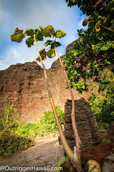 The Ancient Hawaiian Fishing Village Only Accessible Via Boat Hawaii