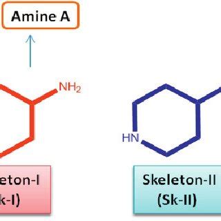 Designer amine synthesis based on parent molecules | Download ...