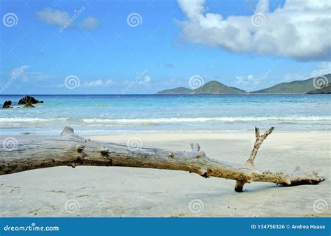 Caribbean Beach Scenery Virgin Islands Stock Photo - Image of blue ...