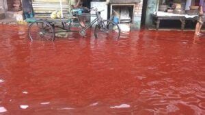 Chuva Vermelha Kerala India Sangue