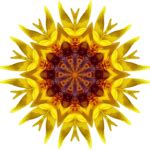 rosemarykaleidoscope  svg