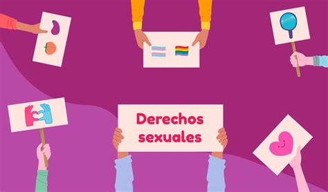 ¿cuáles Son Los Derechos Sexuales