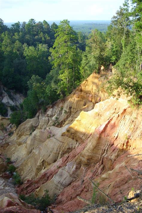 The 11 Most Incredible Natural Attractions In Mississippi That Everyone