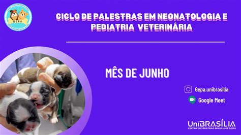 Ciclo De Palestras Em Neonatologia E Pediatria Veterin Ria Do Gepa