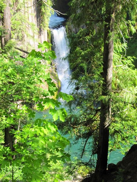 Tokatee Falls, Douglas County, Oregon | Oregon travel, Douglas county ...