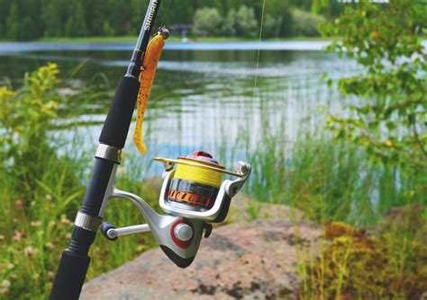 Fisch Und Angelfest Erstmals Im Kurpark Buntenbock Im Harz