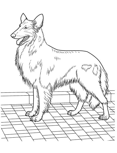 Disegno Cane Da Colorare