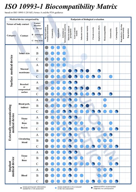 The Importance Of BEP And BER European Biomedical Institute